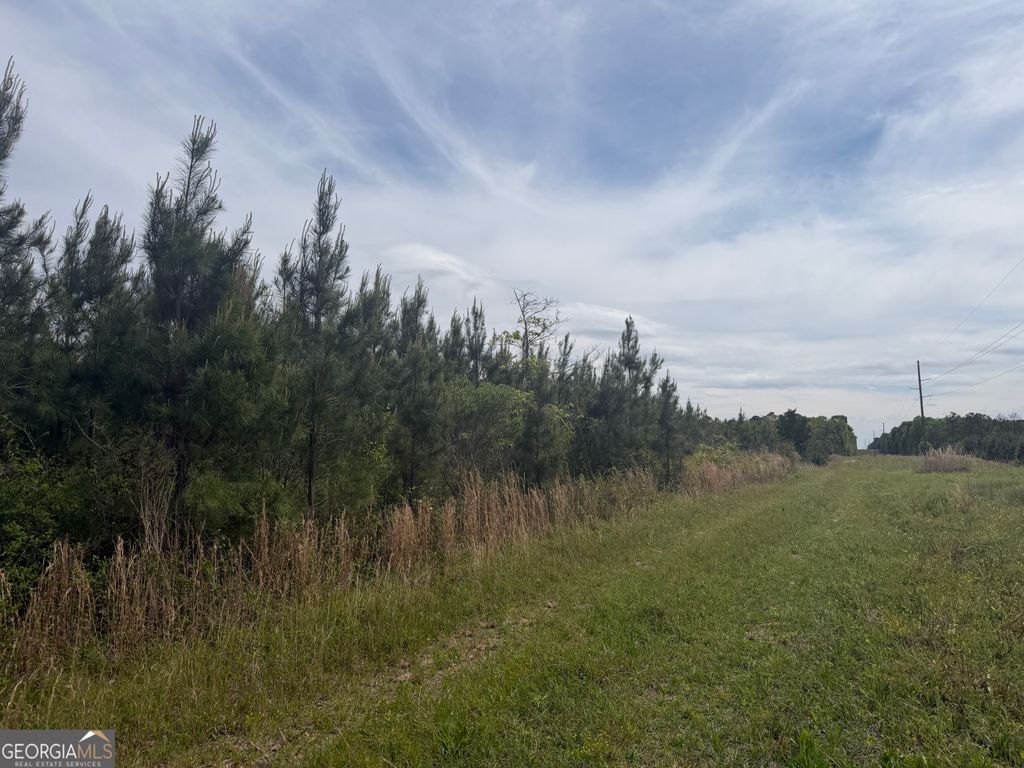 Photo of 4 George Milling Rd, Cuthbert, GA 39840 (MLS # 10730454)