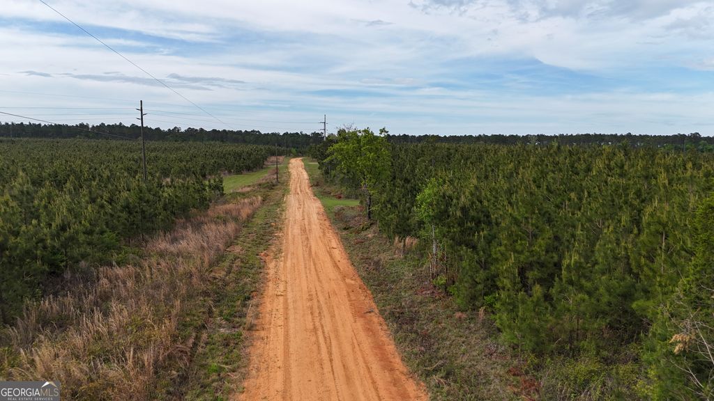 Photo of 4 George Milling Rd, Cuthbert, GA 39840 (MLS # 10730454)