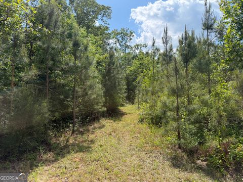 Photo of 4 George Milling Road, Cuthbert, GA 39840 (MLS # 10730454)