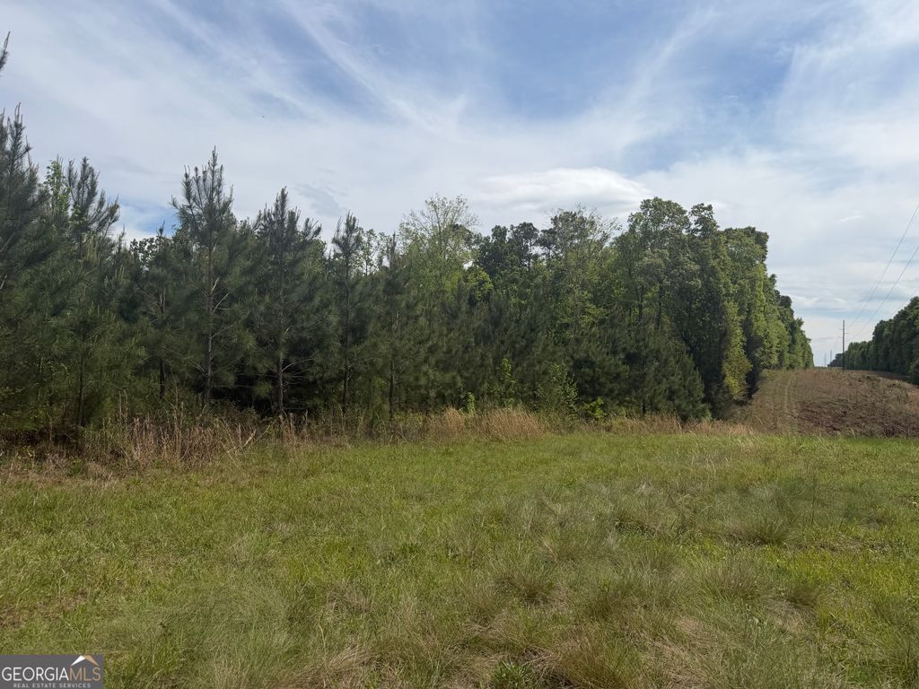 Photo of 4 George Milling Rd, Cuthbert, GA 39840 (MLS # 10730454)