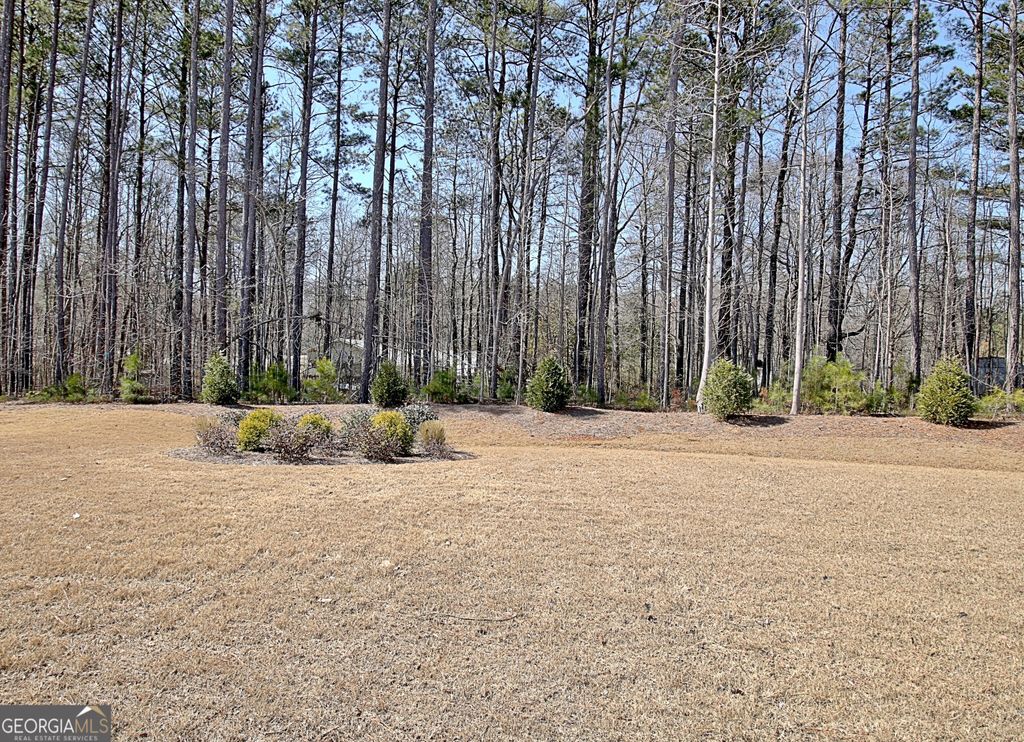 listing image 80