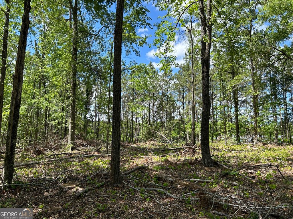 Photo of 2700 N Columbia Street, Milledgeville, GA 31061 (MLS # 10624811)