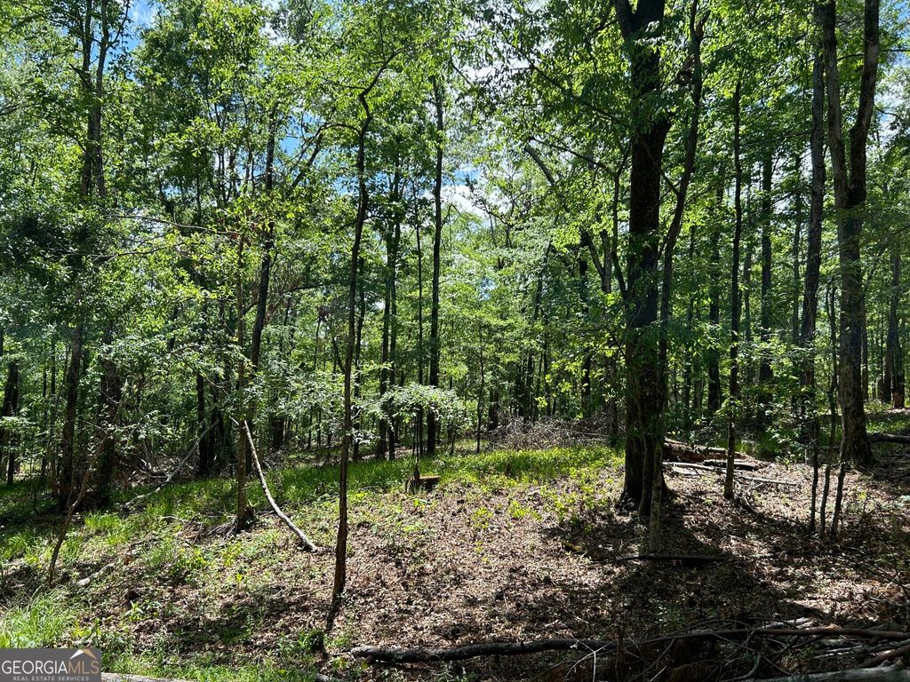 Photo of 2700 N Columbia Street, Milledgeville, GA 31061 (MLS # 10624811)