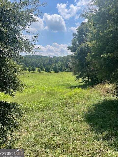 Photo of 8 Captains Court, Clarkesville, GA 30523 (MLS # 10846557)