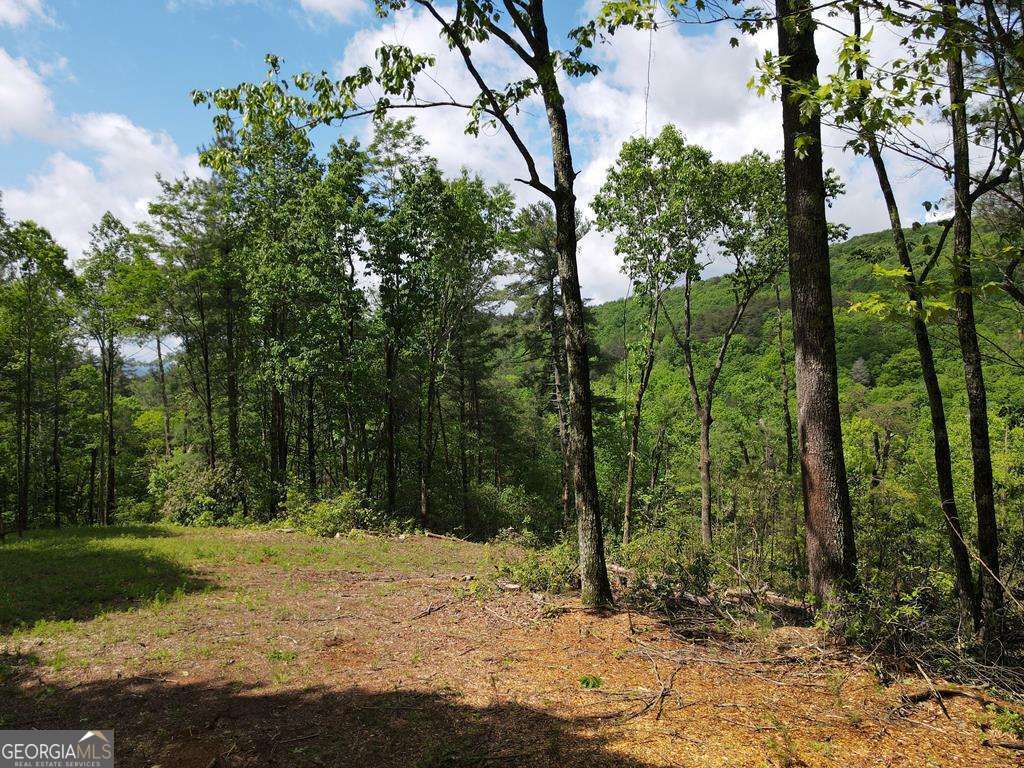 The perfect setting for your mountain getaway! 9.6 acres in a quiet community convenient to downtown Ellijay. This property offers gorgeous year round mountain views, convenient location, and a small rushing creek runs one boundary. Multiple built sites, soil test available for two of them, and the property can be further divided into lots of not less than 2 acres. This mountain paradise is convenient to wineries in an abundance of outdoor activities, kayaking, hiking, hunting, fishing, and there is wildlife everywhere. This is a special piece with very limited restrictions. There is a driveway, cut and cleared build site already in place, saving you time and money.