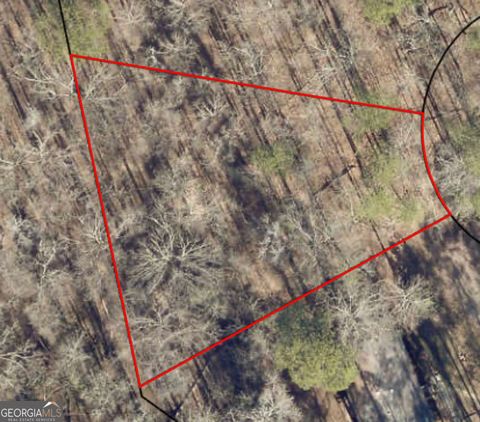 Photo of 0 Brant Court, Monticello, GA 31064 (MLS # 10693539)