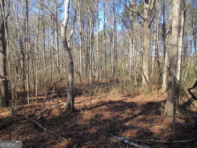 5050 Stateline RD