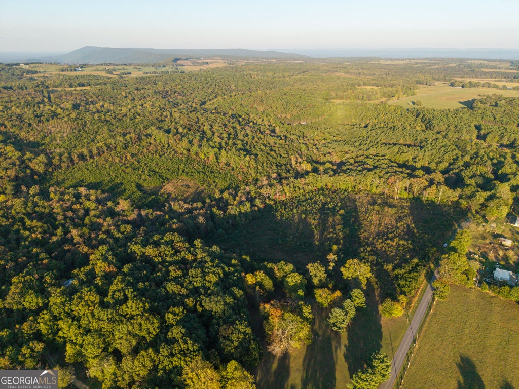 Photo of 0 Gilreath Mill Road, Menlo, GA 30731 (MLS # 10877737)