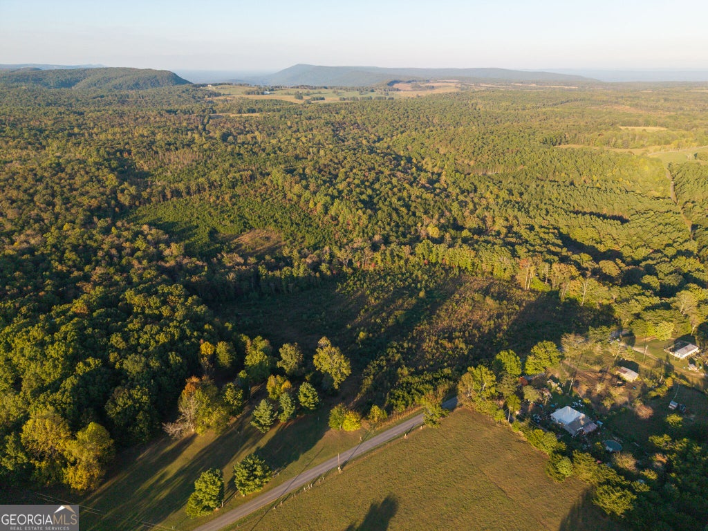 Photo of 0 Gilreath Mill Road, Menlo, GA 30731 (MLS # 10877737)