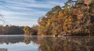 LAKEVIEW AT DUNWOODY SPRINGS - Residential