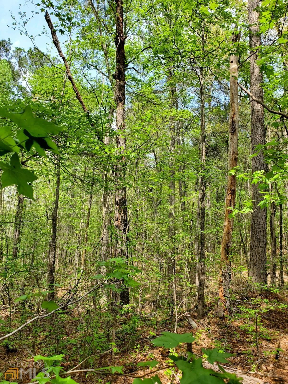 0 Old Highway 138 TRACT 2