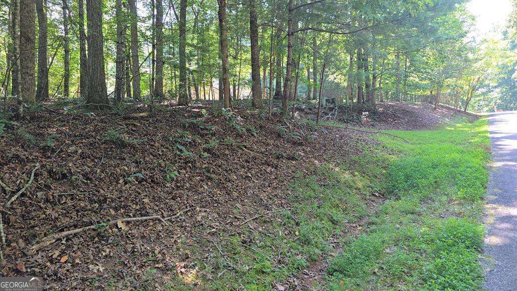 Lot 4 - Coosa Run Prime Building Lot with Gentle Terrain Located in the desirable Coosa Run community, Lot 4 offers the ideal setting for your future mountain home. This beautiful lot features a roughed-in driveway, paved road access, and underground utilities already in place-making it easier to start your build. The gentle terrain provides a versatile foundation for a variety of home styles, while the convenient location offers easy access to town, outdoor recreation, and everyday amenities. A fantastic opportunity in a well-established neighborhood!