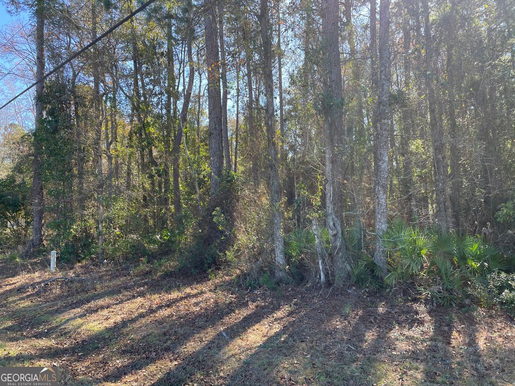 Photo of 4 W King Ave Way, Kingsland, GA 31548 (MLS # 10672842)