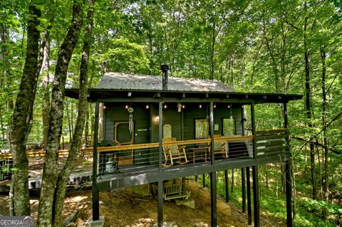 25 Nickwasi WAY Blue Ridge GA 30513