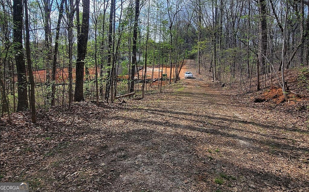 Photo of 4234 Belvedere Drive, Gainesville, GA 30506 (MLS # 10789782)