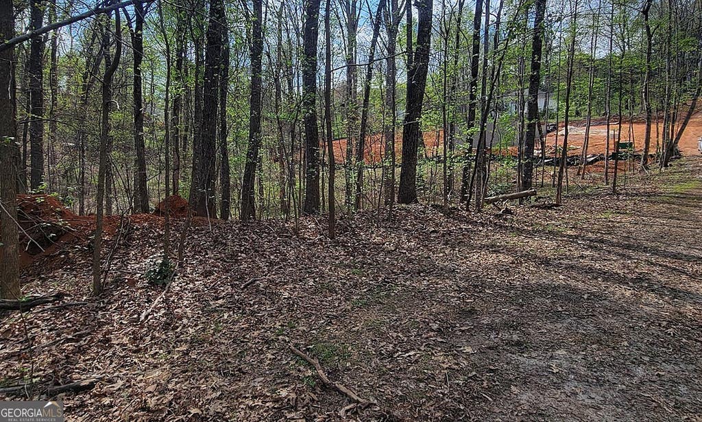 Photo of 4234 Belvedere Drive, Gainesville, GA 30506 (MLS # 10789782)