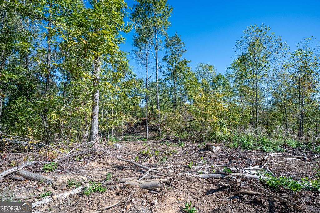 Photo of 3883 HWY 140 NE, Rydal, GA 30171 (MLS # 10632134)