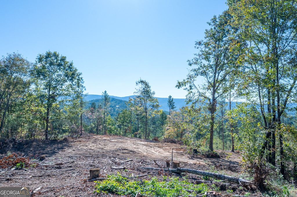 Photo of 3883 HWY 140 NE, Rydal, GA 30171 (MLS # 10632134)