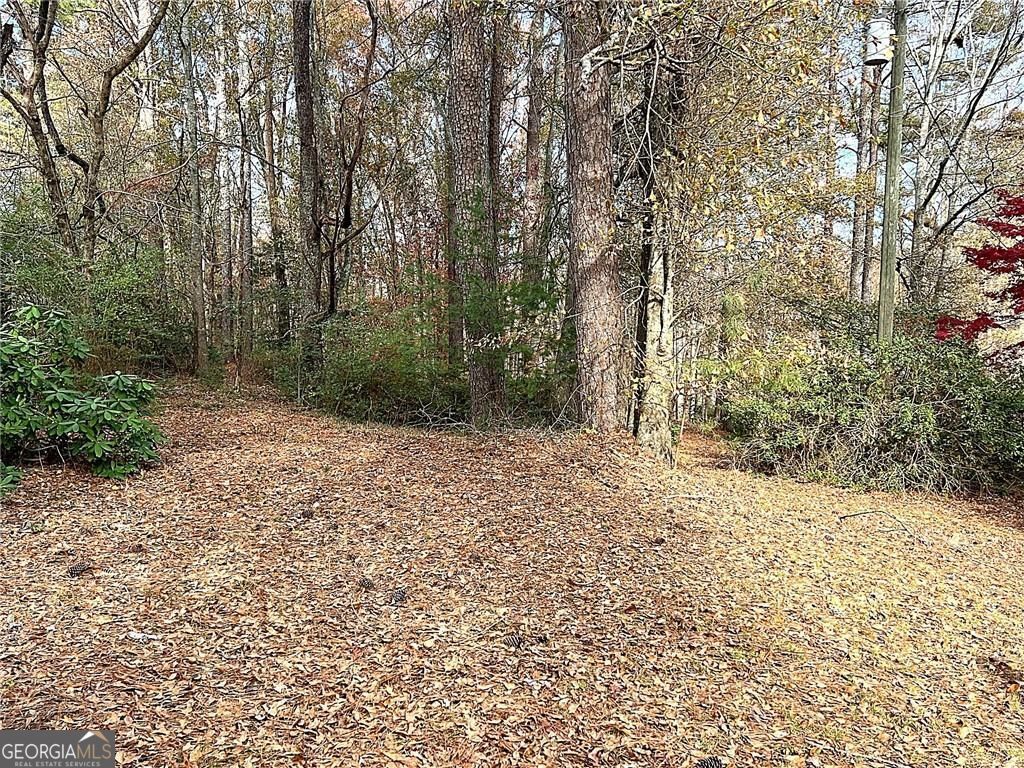 Photo of 667 Avery Road, Canton, GA 30115 (MLS # 10711963)