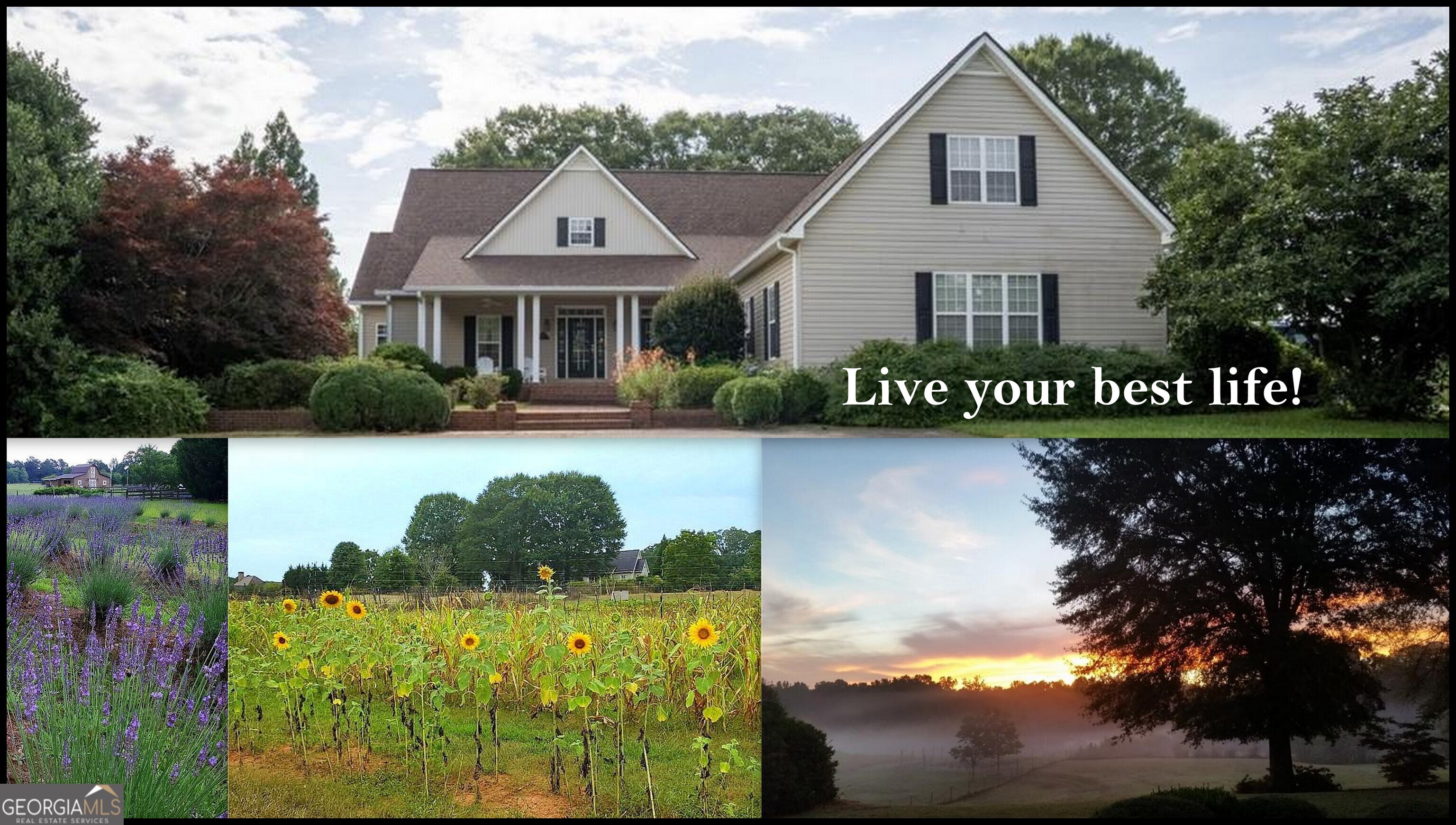 442 Buffalo Creek RD