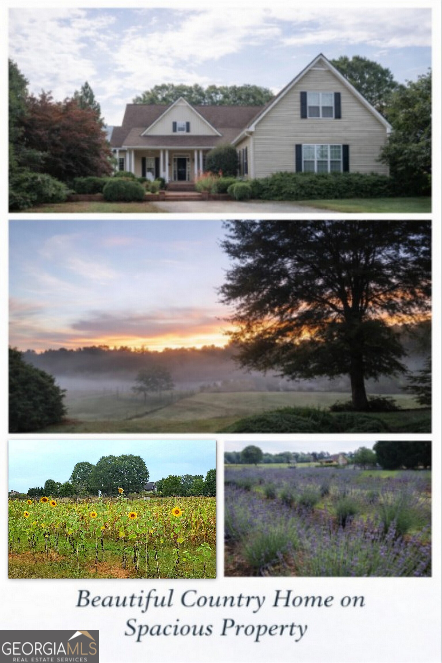 442 Buffalo Creek RD