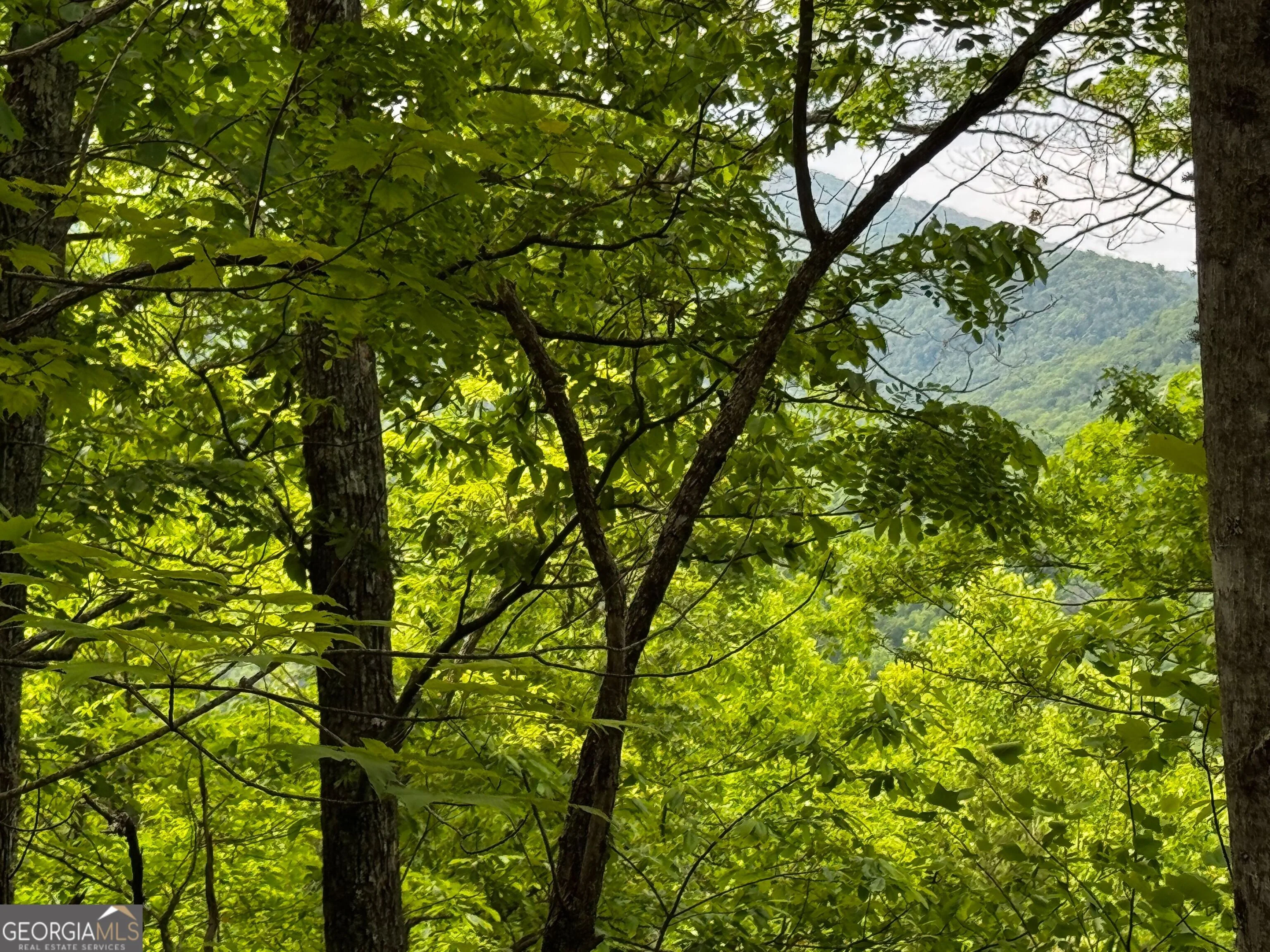 #6 Pounding Mill Overlook, Hayesville, NC, 28904