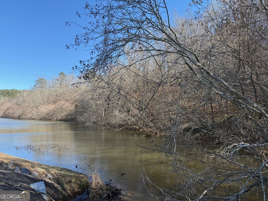 Photo of 7725 Slalom Pass, Forsyth, GA 31029 (MLS # 10679812)