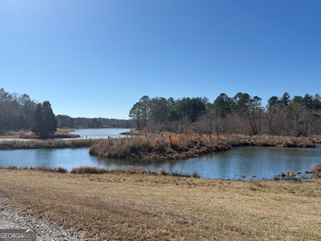 Photo of 7725 Slalom Pass, Forsyth, GA 31029 (MLS # 10679812)