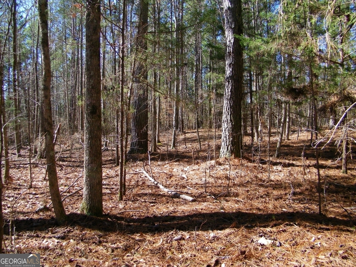 LOT 7 Blackberry Bend