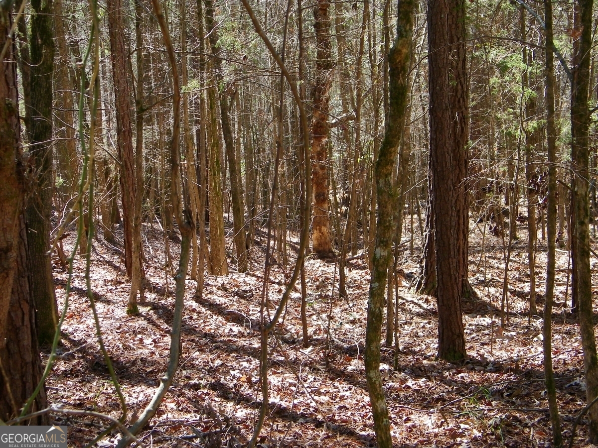 LOT 7 Blackberry Bend