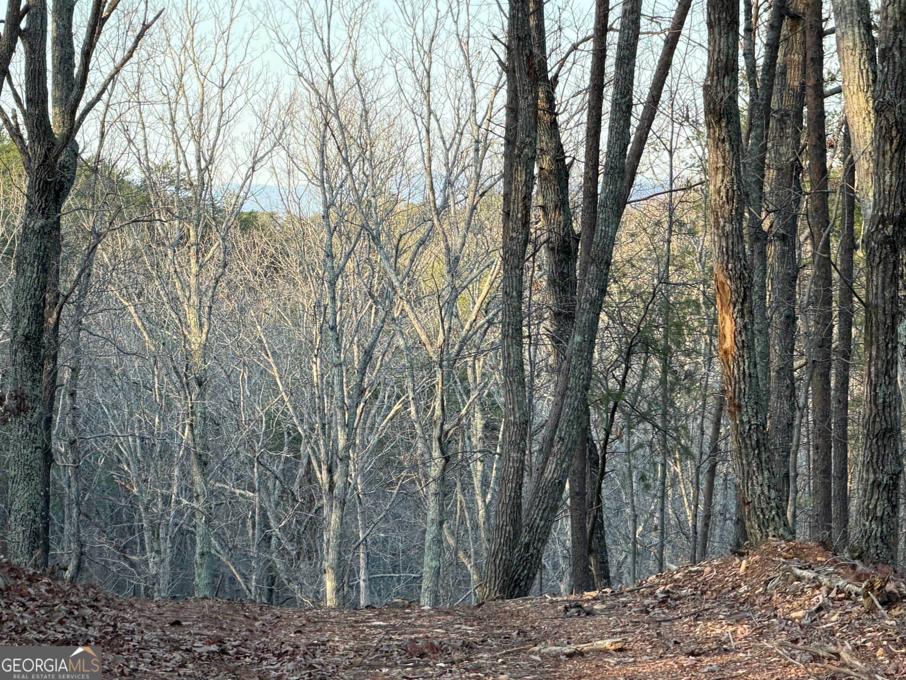 260 Arnold RD