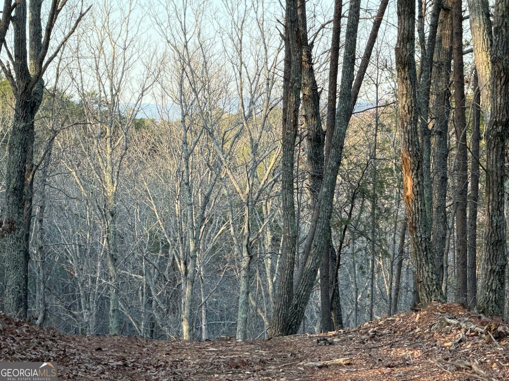 Photo of 260 Arnold Road, Fairmount, GA 30139 (MLS # 10830697)