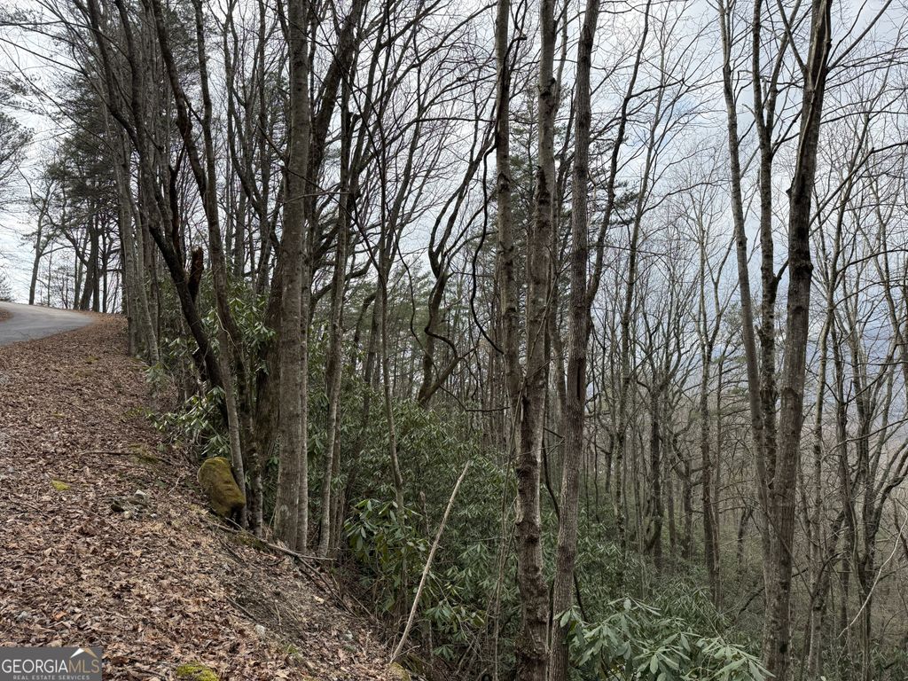 Photo of 416 Screamer Drive, Clayton, GA 30525 (MLS # 10697573)