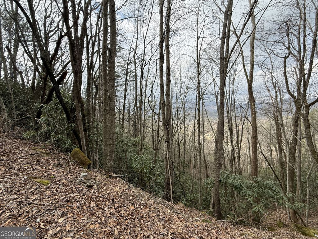 Photo of 416 Screamer Drive, Clayton, GA 30525 (MLS # 10697573)