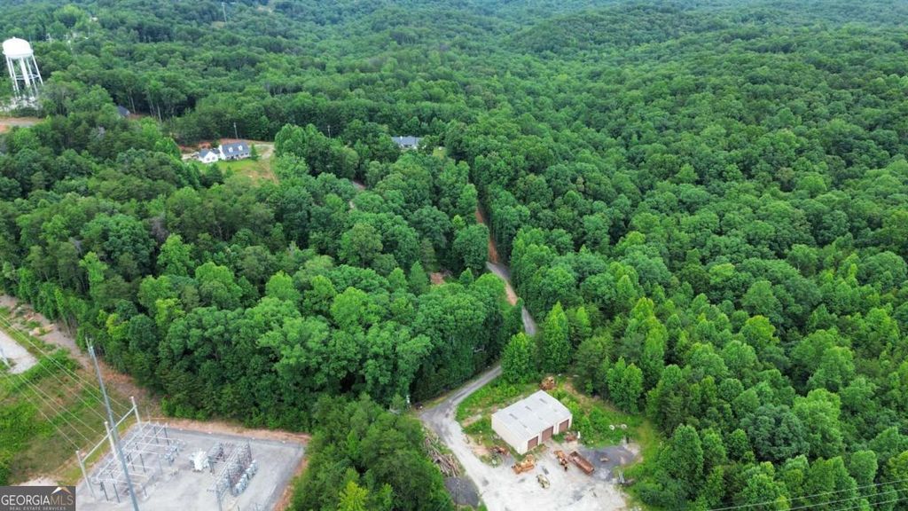 Photo of 20 Stancil Drive, Dawsonville, GA 30534 (MLS # 10795953)