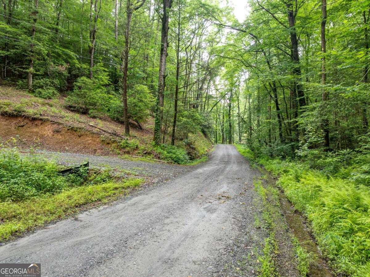 Dreaming of a private mountain escape? This pristine 11.32-acre tract near Ellijay is a nature lover's paradise-tucked into mature hardwoods with a secluded, build-ready clearing already in place. Outdoor adventure is just minutes away with close proximity to the Mulberry Gap Mountain Bike Trails, Pinhoti 2 Trailhead, Bear Creek Trailhead, and a network of scenic trail systems. A cut-in driveway leads to a peaceful clearing where a picnic shelter stands-ready for your future cabin or custom dream home. Whether you're into hiking, biking, hunting, or simply unwinding in nature, this property offers a rare opportunity to create your own sanctuary in the North Georgia mountains.