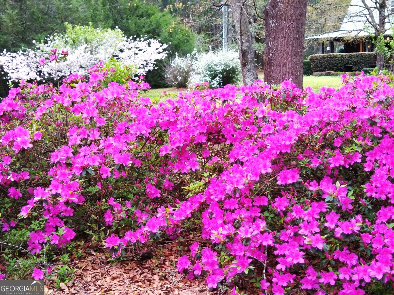 1851 I G Lanier Road