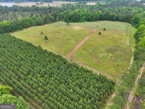 Photo of 0 Mt Carmel, Senoia, GA 30276 (MLS # 10728782)