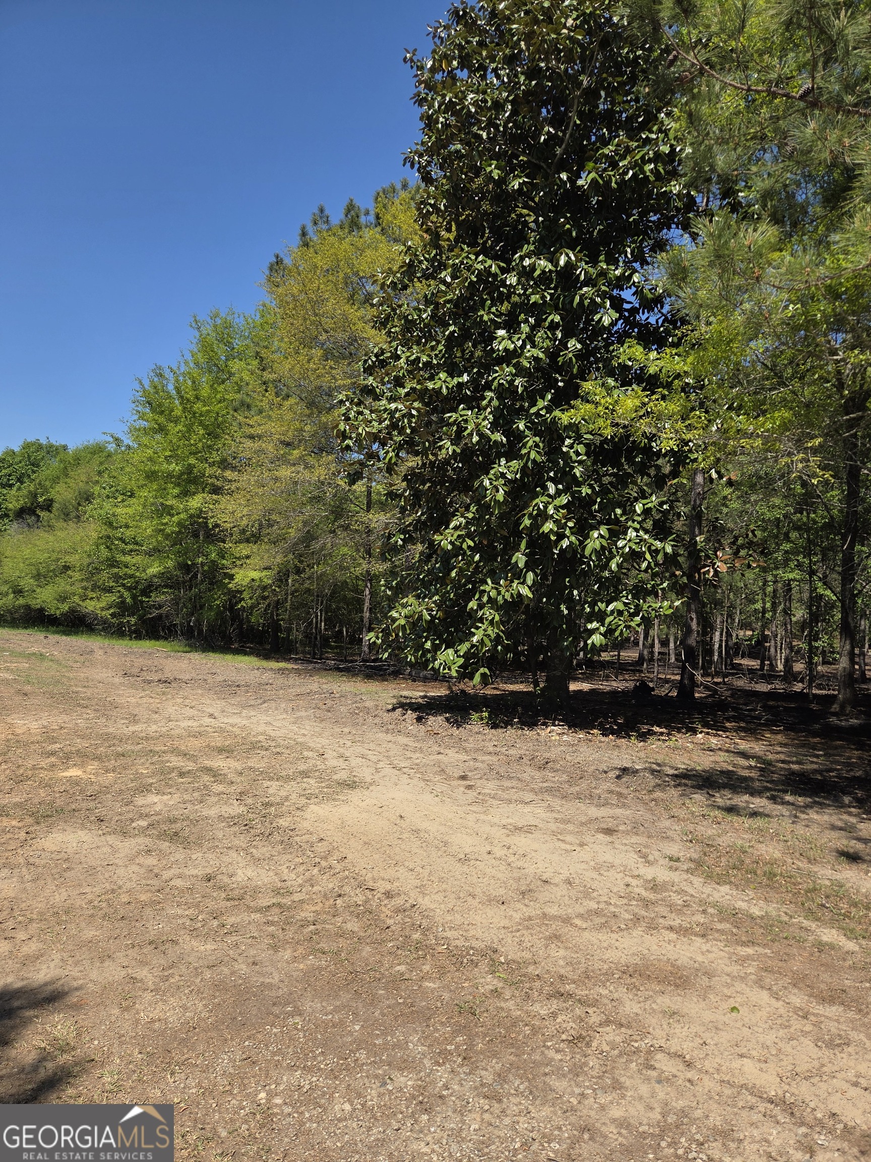 0 Mt Carmel