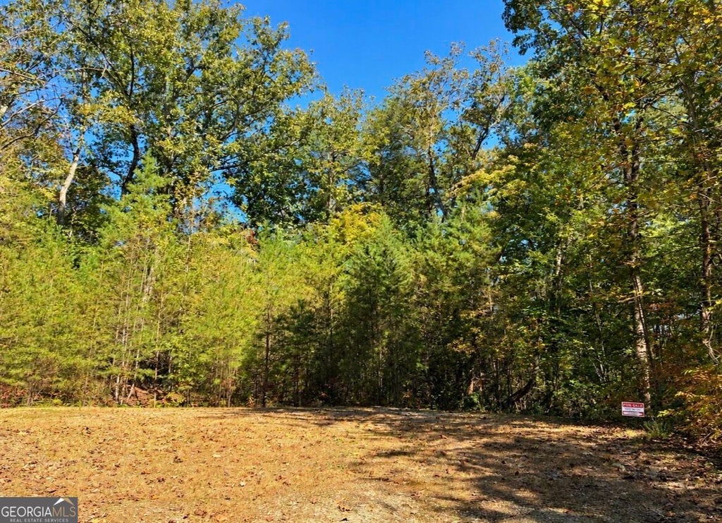 Photo of 0 Marjorie Ave, Ellijay, GA 30536 (MLS # 10872136)