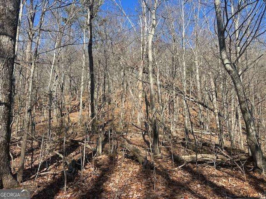 Photo of 257 Andes Ridge, Jasper, GA 30143 (MLS # 10696243)