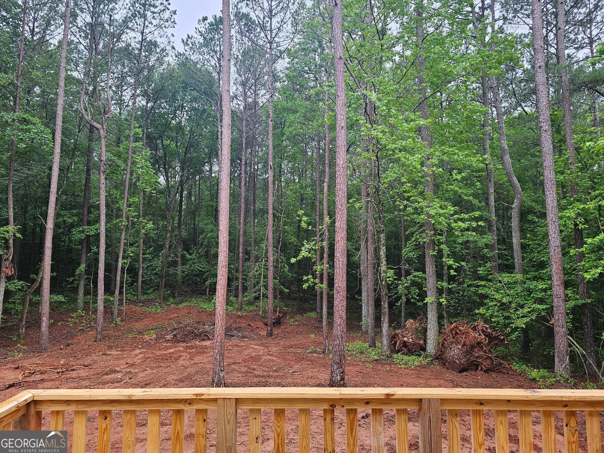 55 Etheridge RD