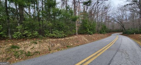 Photo of 995 Hicks Gap Road, Blairsville, GA 30512 (MLS # 10713566)