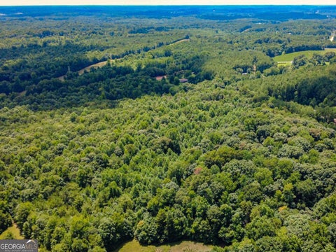 Photo of 172 Toney Road, Commerce, GA 30529 (MLS # 10818034)