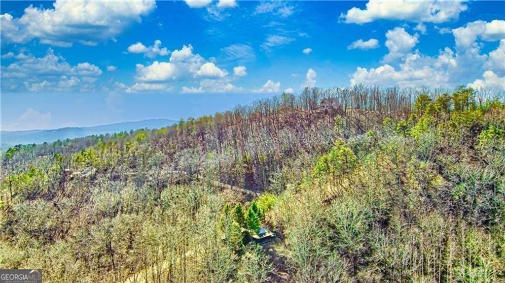 Photo of 875 Trinton Drive, Ranger, GA 30734 (MLS # 10657093)