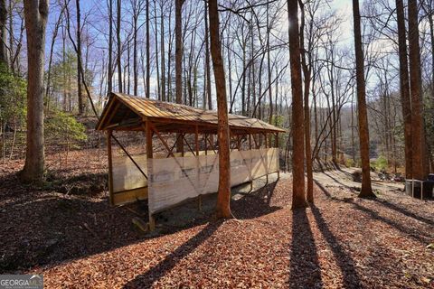 A home in Blue Ridge