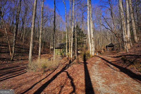 A home in Blue Ridge