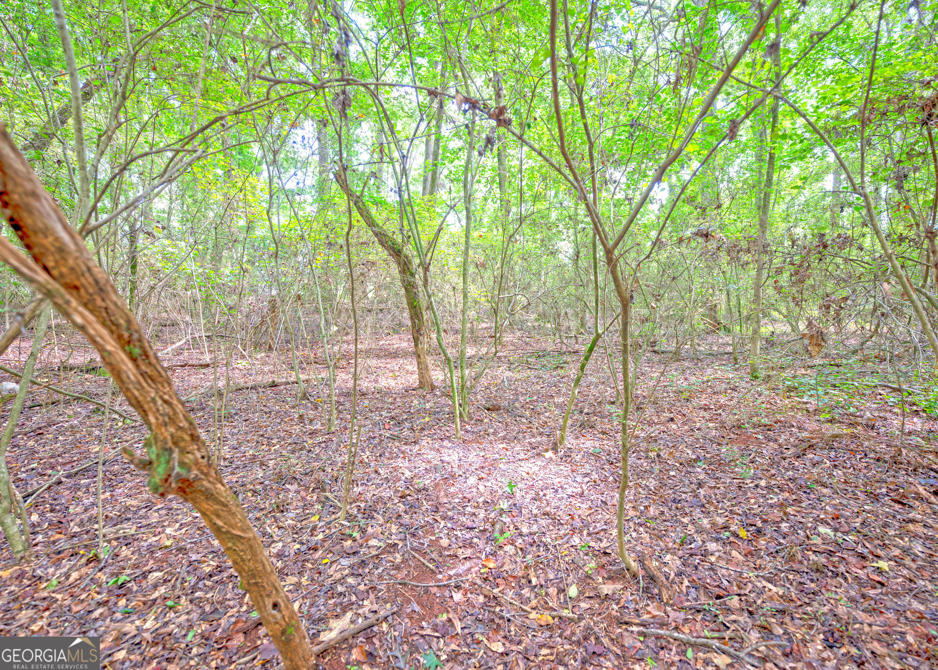 Discover your private oasis on this beautiful wooded lot with endless possibilities.Whether you're dreaming of building your perfect home or starting a mini farm, this property has the space and potential to make your vision a reality. Backing up to large tracts of land, it's a must-see for anyone looking for tranquility and opportunity. Don't wait, schedule an appointment today