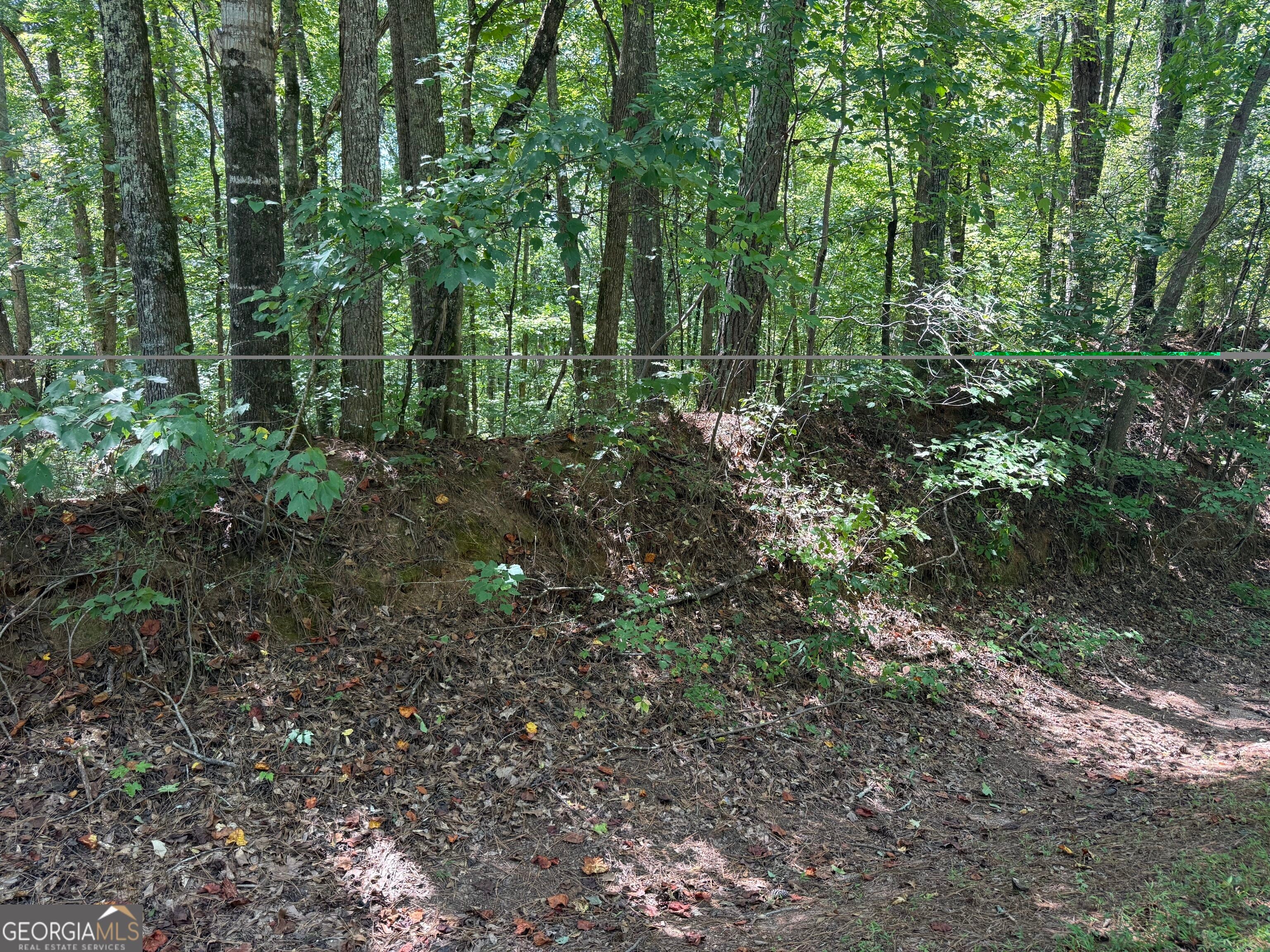 0 Center Point RD