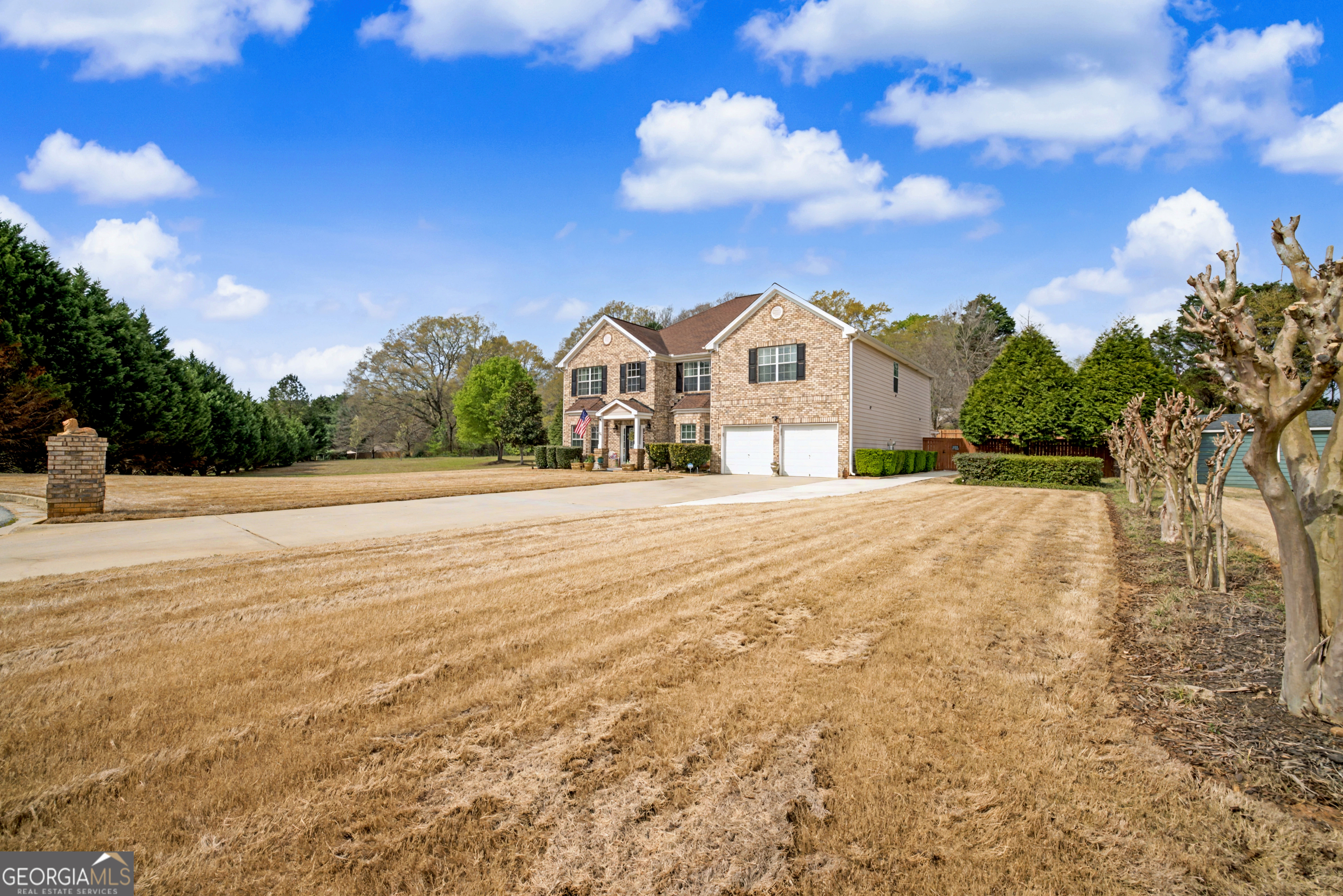 13677 Shellcracker CT